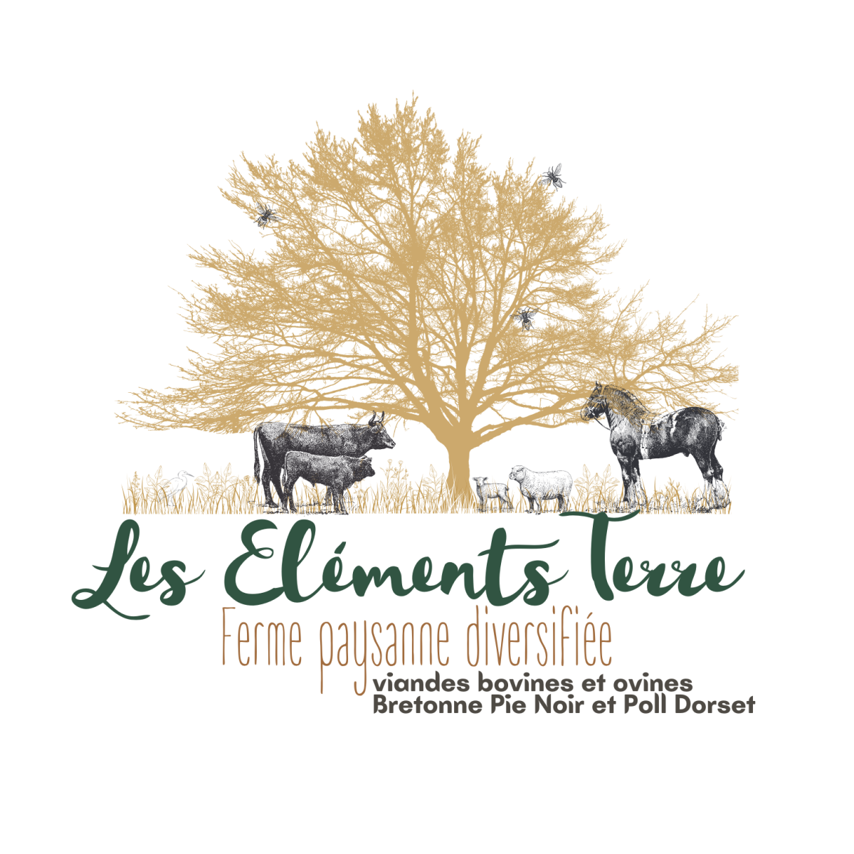 Les Eléments Terre